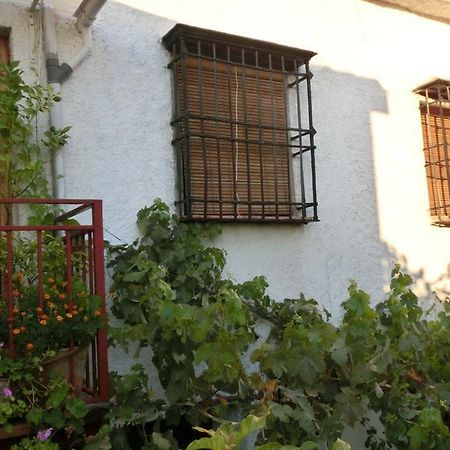 Al Sil Ram Apartment Alfacar Bagian luar foto